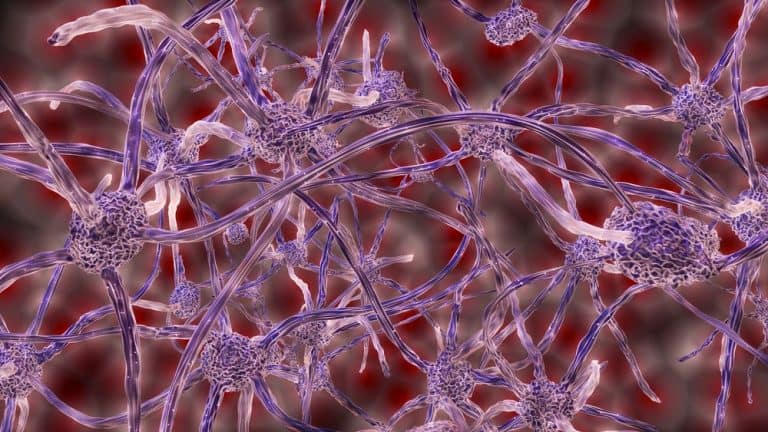 يستخدم العلماء الجهاز العصبي لإيقاف النزيف في أي مكان في الجسم.