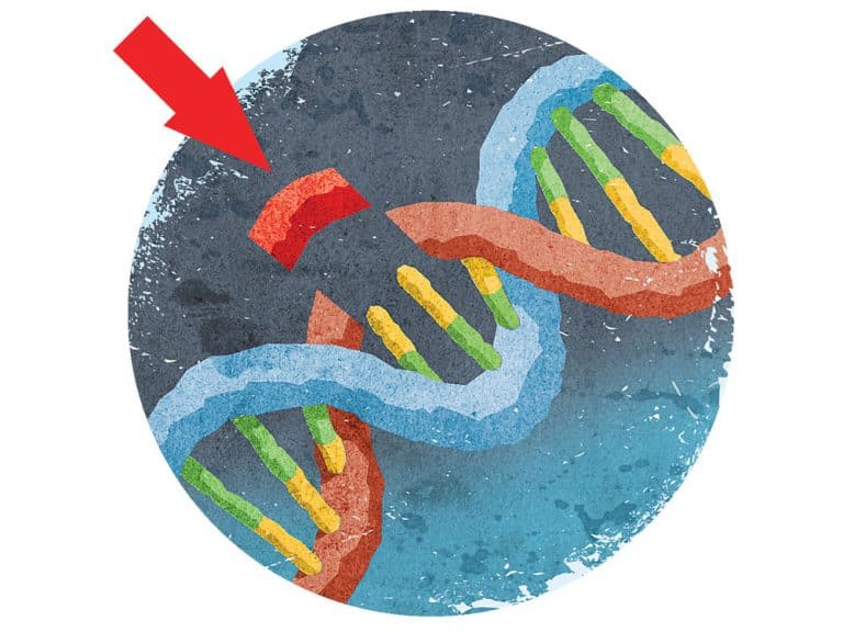 تعمل تقنية كريسبر كمقصات لقطع الحمض النووي الريبي منقوص الأكسجين (DNA)