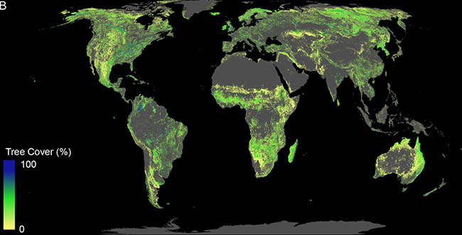 يمكن زراعة مليار هكتار من الغابات إذا استثنينا الصحارى والمناطق الحضرية