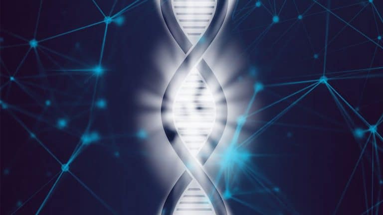 بيولوجي, ما وراء الجينات, الجينات