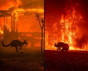 حرائق أستراليا, الاحتباس الحراري, حرائق الغابات