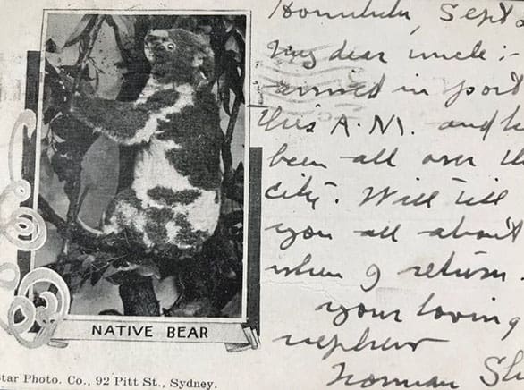 يظهر الكوالا على بطاقةٍ بريدية عام 1903