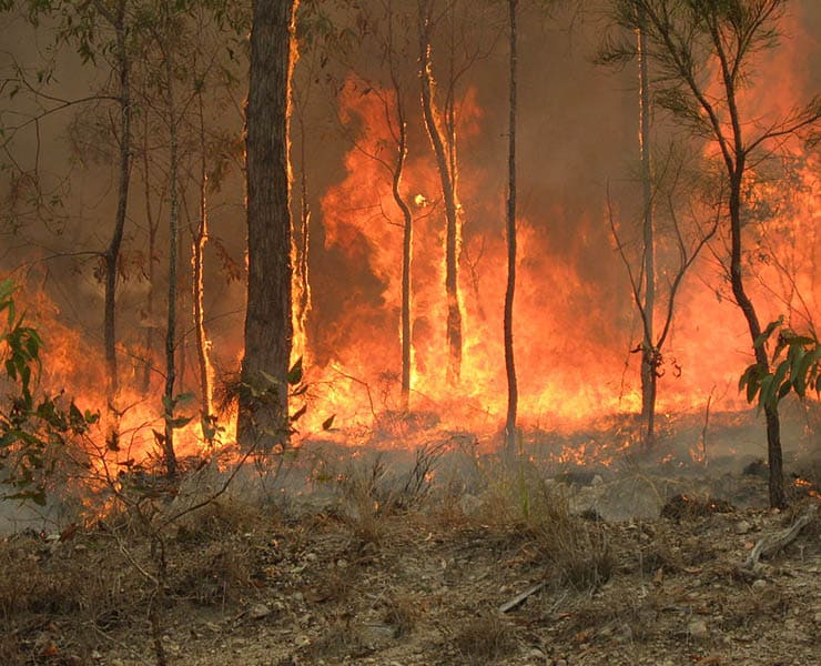 حرائق أستراليا, الاحتباس الحراري, حرائق الغابات