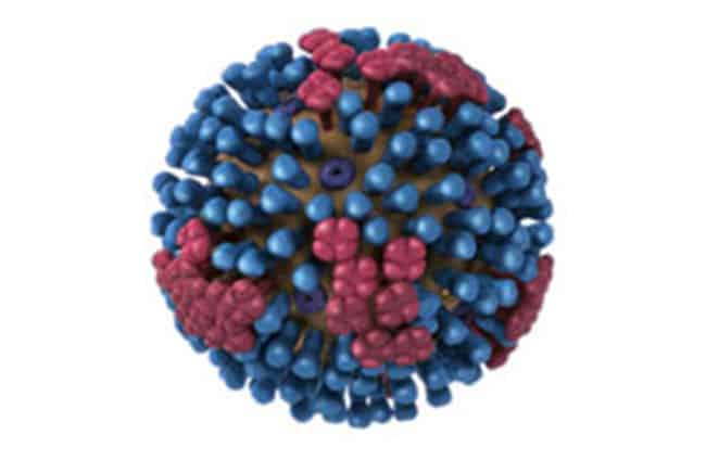 فيروس كورونا, وباء, جائحة