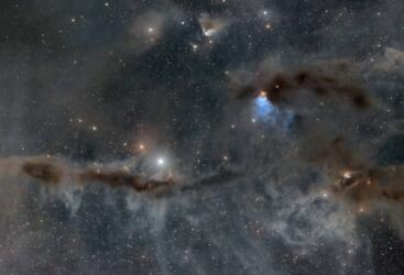 هل منحت النجوم القزمة البيضاء الحياة لمجرة درب التبانة؟