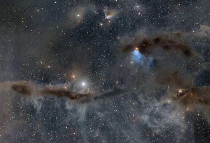 هل منحت النجوم القزمة البيضاء الحياة لمجرة درب التبانة؟