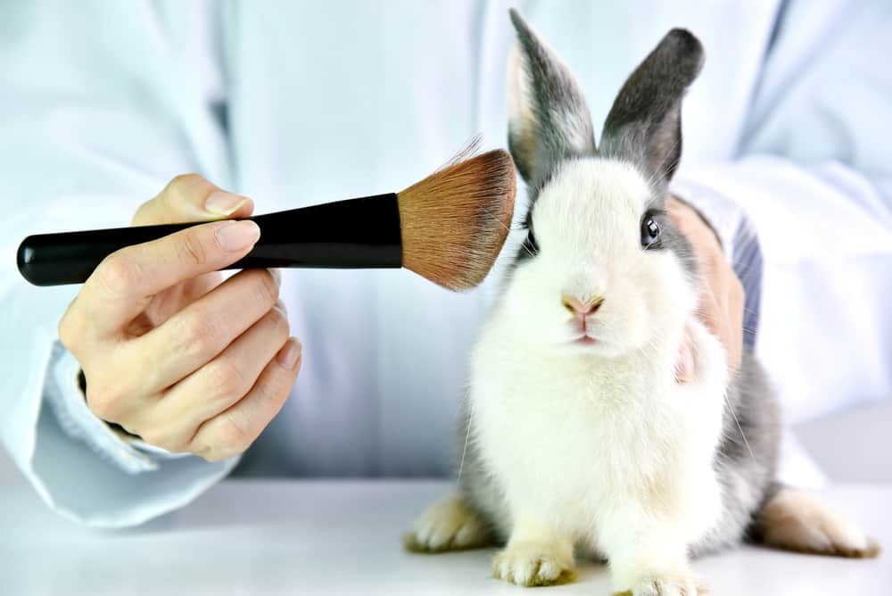 طرق اختبار مستحضرات التجميل على الحيوانات