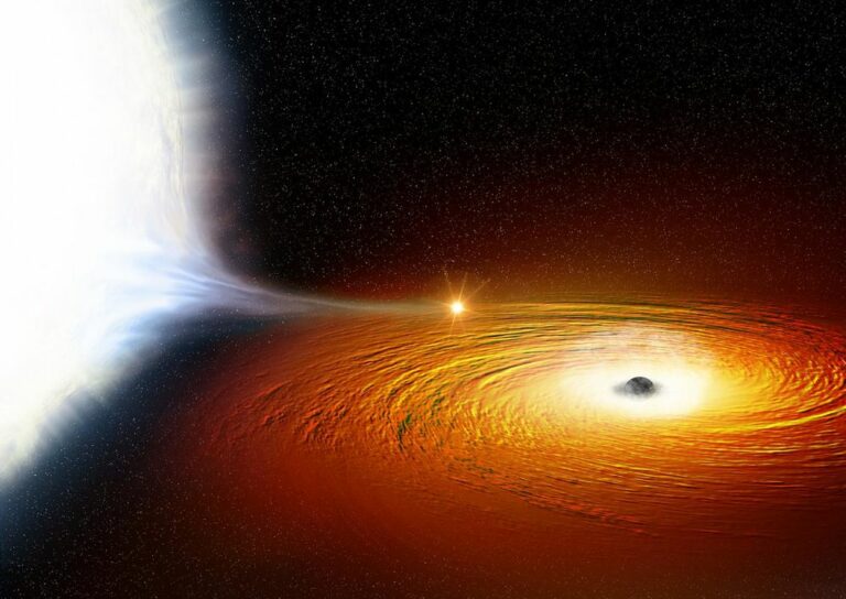 محاكاة التهام ثقب أسود للنجوم