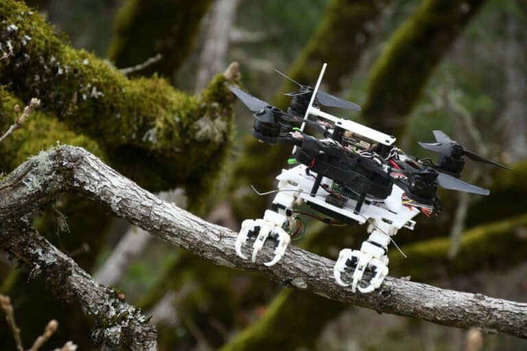 تطوير روبوت يمكنه الهبوط على الأشجار مثل الطيور