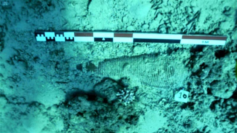 العثور على حطام سفينة من القرن الثامن عشر في البحر الأحمر قبالة شواطئ السعودية