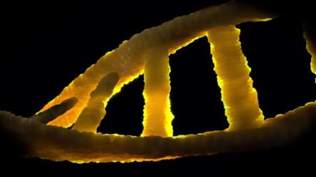 ما هي المعلومات الوراثية التي يمكنك معرفتها من خلال اختبار شركة «23 آند مي»؟
