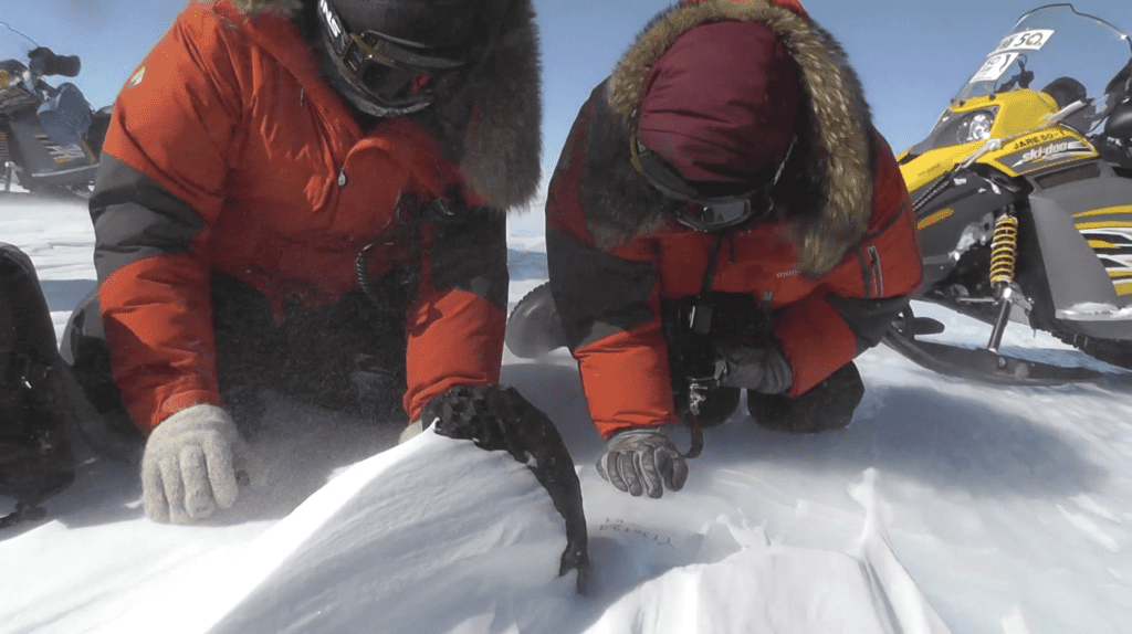 العثور على النيازك في القطب الجنوبي