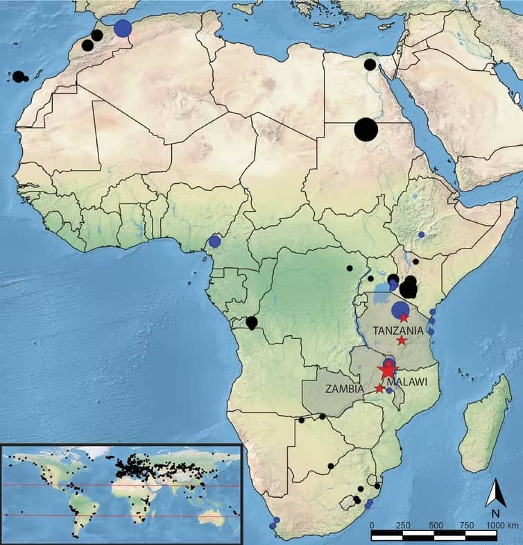 الحمض النووي القديم يحل بعض ألغاز البشر الأوائل في  إفريقيا