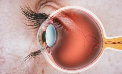 باحثون يتمكنون من صنع شبكية عين محاكية لشبكية عين البشر