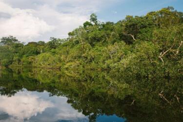هل هناك أمل في إنقاذ غابات الأمازون أم سبقنا التغير المناخي؟