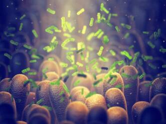 كيف يمكننا حماية الميكروبات النافعة في الأمعاء من المضادات الحيوية؟
