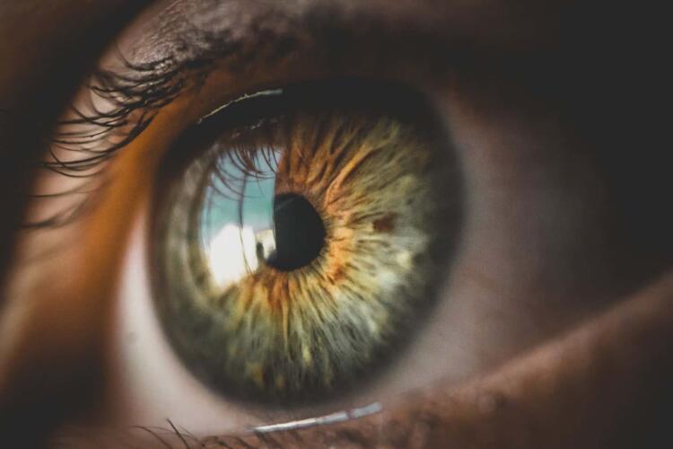 باحثون ينجحون باستعادة نشاط الخلايا المستقبلة للضوء في أعين أشخاص بعد وفاتهم