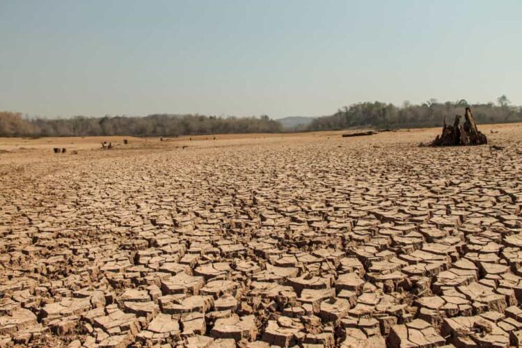 كيف يؤثر التغير المناخي على معدل انتشار الجفاف؟