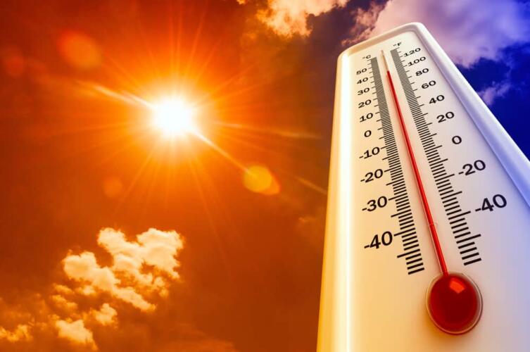 8 نصائح تساعدك في التغلب على حرارة الصيف