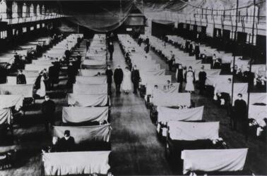 ما هي العلاقة الجينية بين فيروس الإنفلونزا العادي وفيروس إنفلونزا 1918 القاتل؟