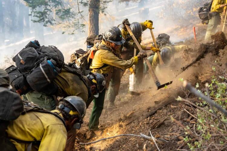 ماذا يعني «احتواء الحريق» عند مكافحة حرائق الغابات؟