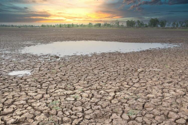 كيف يمكننا استعادة الأراضي التي تعرضت للجفاف؟