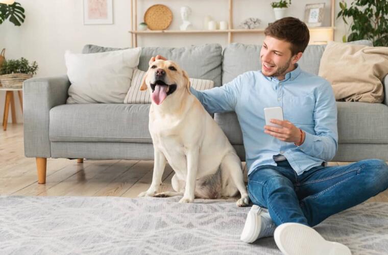 7 نصائح لتربية الكلب في المنزل بشكل صحيح