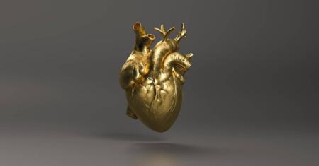 بعد تحديد الخلايا المسؤولة عن إصلاح القلب لنفسه: ما هي الآفاق المستقبلية لعلاج الأمراض القلبية؟