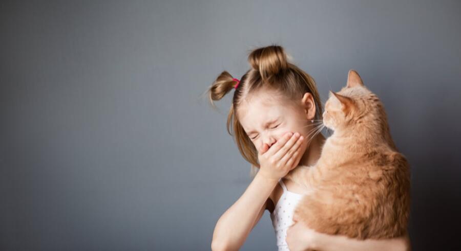 ما هي الحساسية من القطط؟ وكيف يمكن علاجها؟