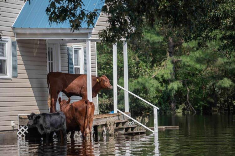 كيف تحدث الفيضانات المفاجئة وكيف يمكن درء مخاطرها؟