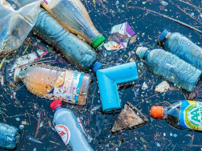 النفايات البلاستيكية في البحار المحيطات تشكل بيئة ملائمة لنمو وتكاثر العوامل الممرضة