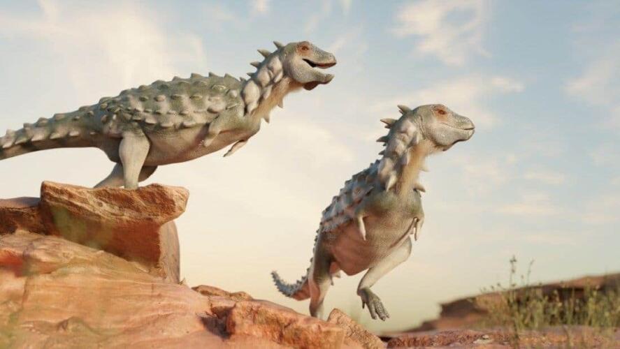 تخيل أن تربي ديناصوراً: الكشف عن مستحاثات لديناصورات بحجم القطط المنزلية