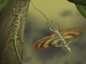 اكتشاف أول زاحف مجنح عاش قبل 200 مليون سنة في مدغشقر