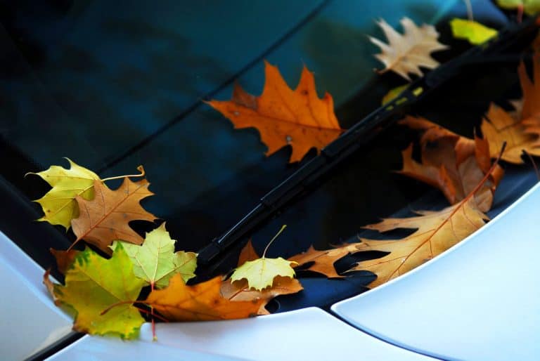 نصائح بسيطة للحفاظ على جودة طلاء السيارة خلال فصلي الخريف والشتاء