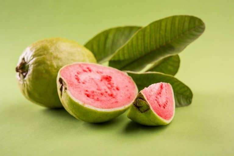 ما فوائد الجوافة وما أضرارها؟