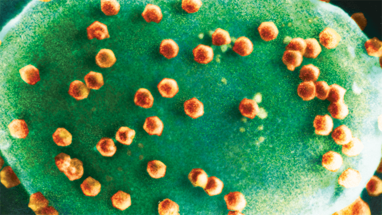 هل يمكن أن تكون الفيروسات مغذيات لأحياء أخرى في السلسلة الغذائية؟