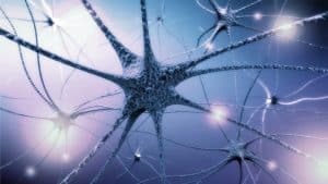 ممَّ يتكون الجهاز العصبي المركزي وكيف تتم الحركة؟