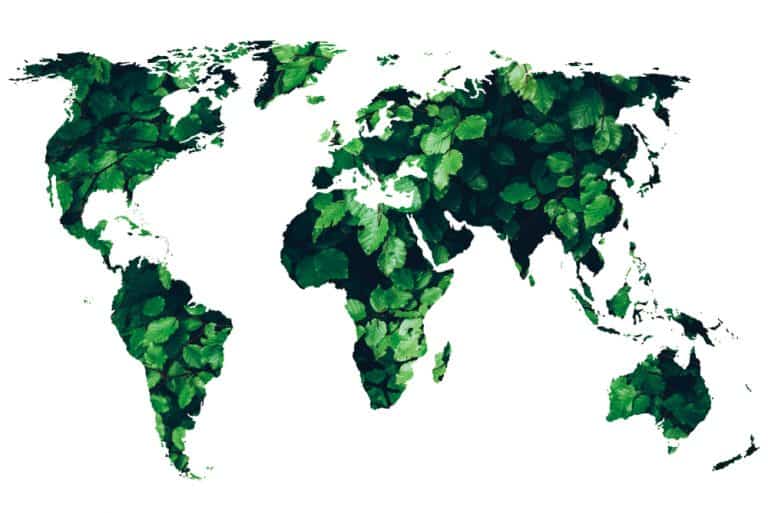أفضل 6 دول في الحفاظ على البيئة