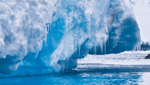 باحثون يعثرون على حجر نيزكي يزن 8 كيلوغرامات في القطب الجنوبي