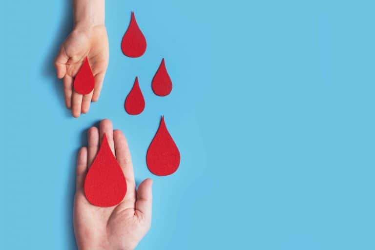 بماذا يختلف فقر الدم كبير الخلايا عن فقر الدم صغير الخلايا؟