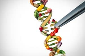 ما هو تأثير التغذية في الوراثة؟