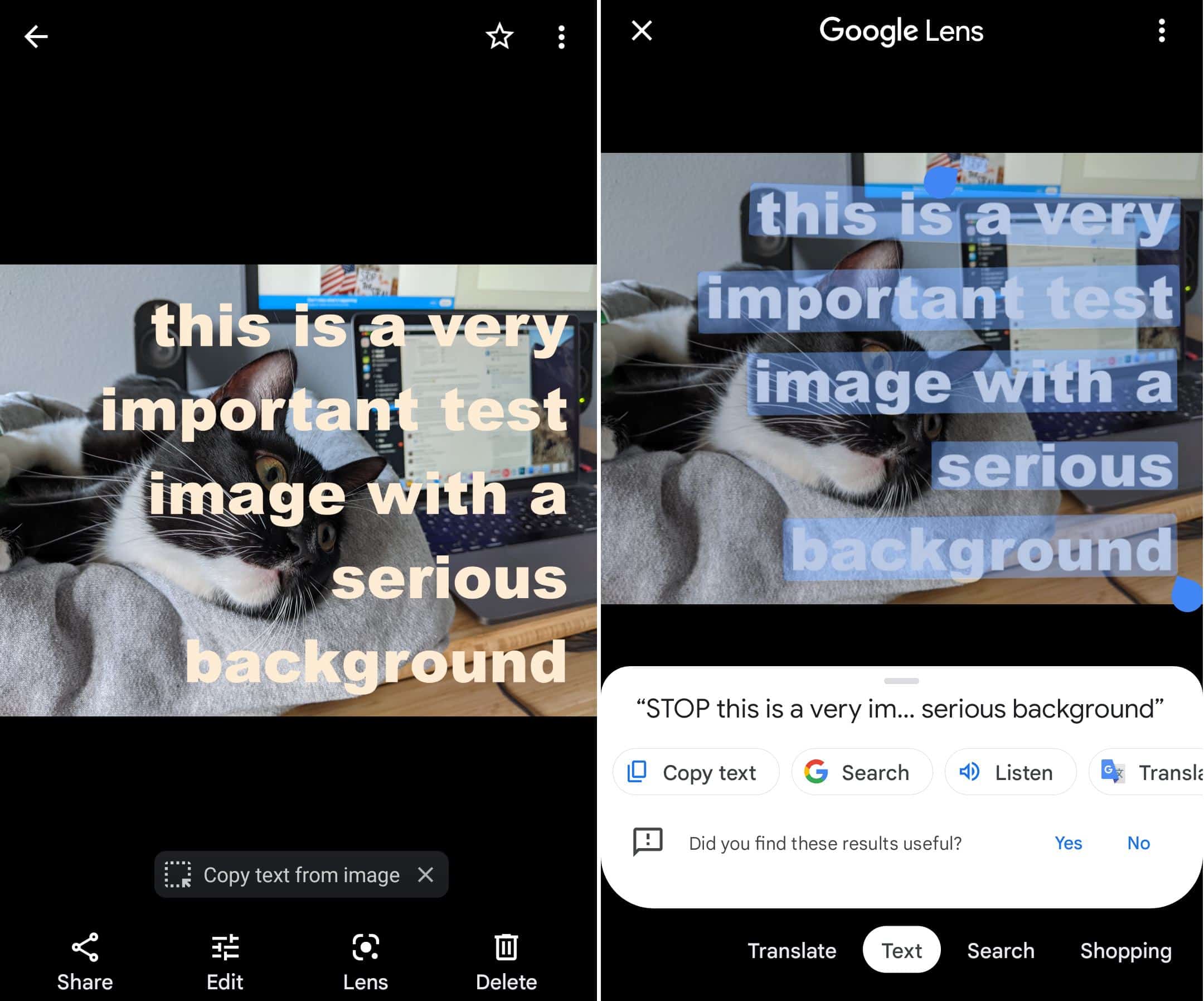 يستطيع مستخدمو نظام أندرويد استعمال تطبيق جوجل لينز لاستخراج النصوص من الصور. جاستن بوت