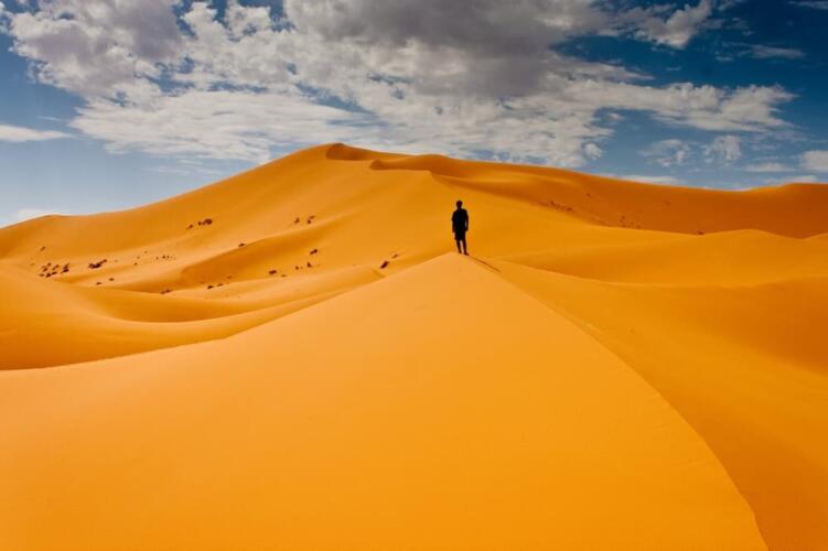 دليلك للبقاء على قيد الحياة في الصحراء