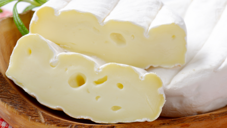كيف تؤثر المضادات الحيوية للفطور في تشكل قشور الجبن اللذيذة؟