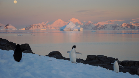 القارة القطبية الجنوبية والتغير المناخي