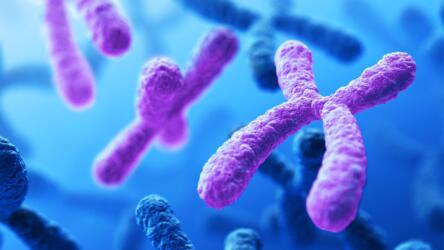 العلماء يكتشفون الجزء المفقود الأخير من الجينوم البشري