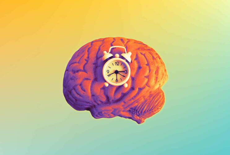هل يرتبط عدد ساعات النوم بخطر الإصابة بالسكتة الدماغية؟ دراستان حديثتان تُجيبان