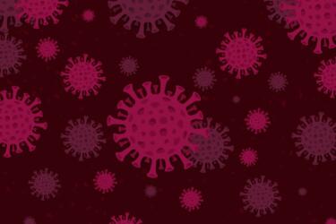 أخطر 10 فيروسات تهدد بقاء البشرية واستمرارها