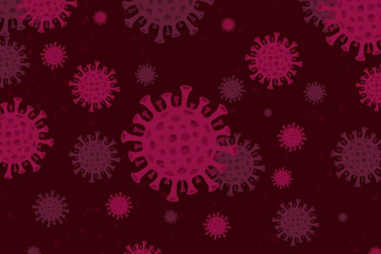 أخطر 10 فيروسات تهدد بقاء البشرية واستمرارها