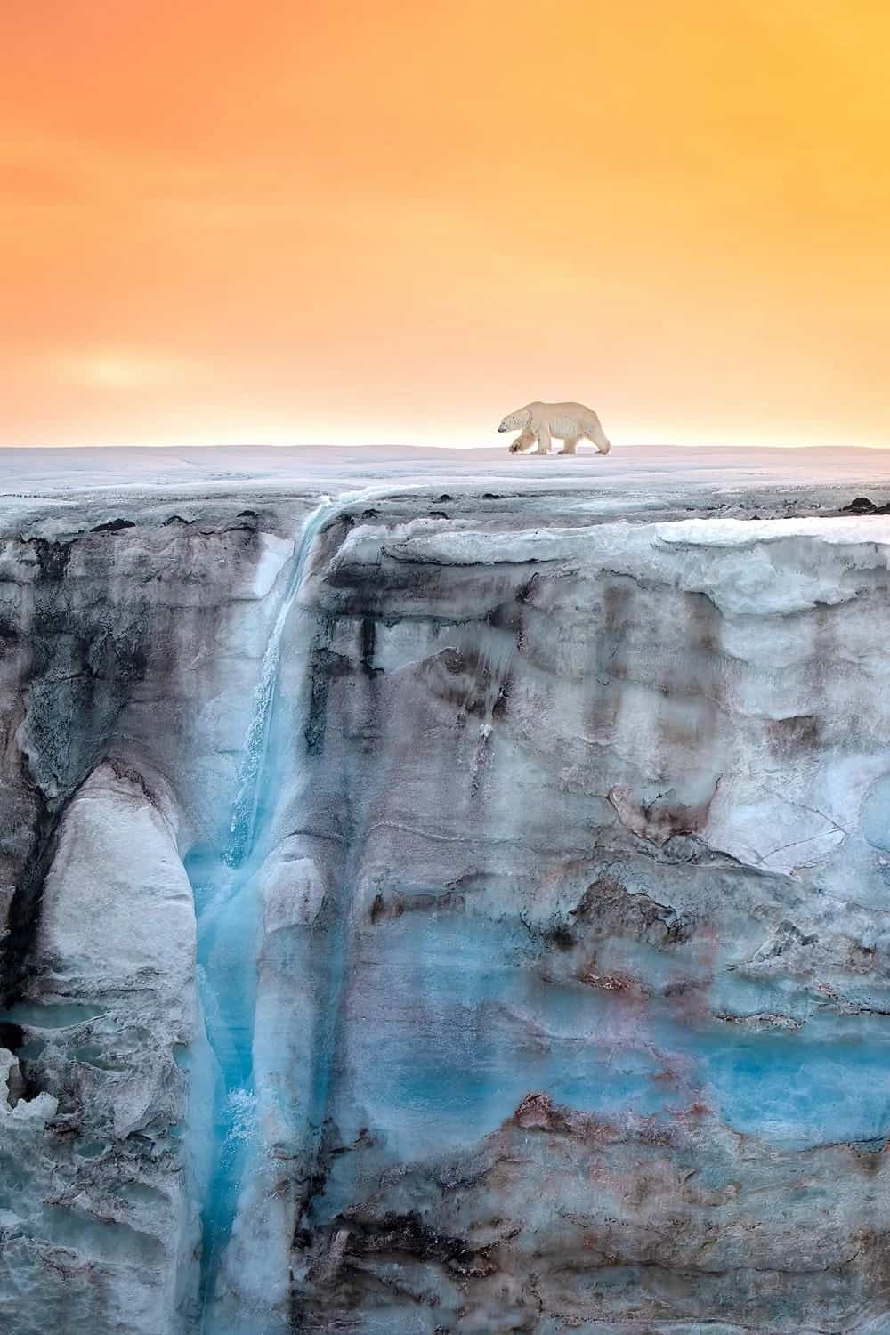 دب قطبي يمشي عبر نهر جليدي مزيّن بشلال. مايكل هالوانا/جوائز مصور المحيط لعام 2023